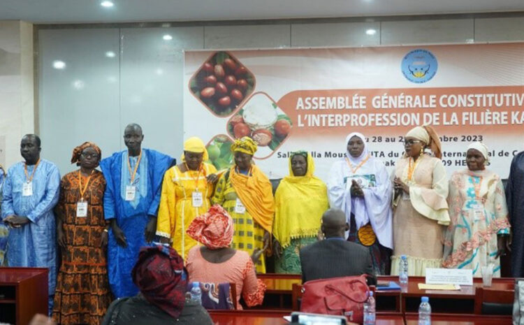  Naissance de l’Interprofession de la Filière Karité du Mali